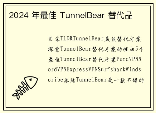 2024 年最佳 TunnelBear 替代品
