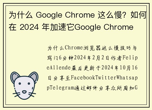 为什么 Google Chrome 这么慢？如何在 2024 年加速它Google Chrome