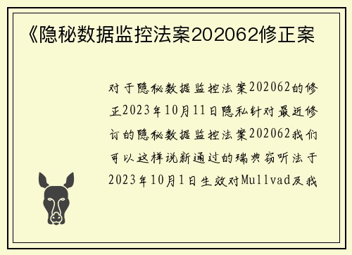 《隐秘数据监控法案202062修正案 