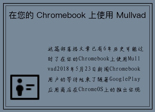 在您的 Chromebook 上使用 Mullvad 